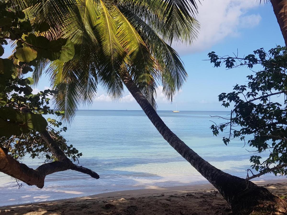 Residence Kawann Plage & Piscine - Hamaca 102 Folle Anse Екстериор снимка